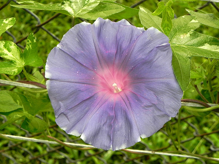 DSCN4889_01