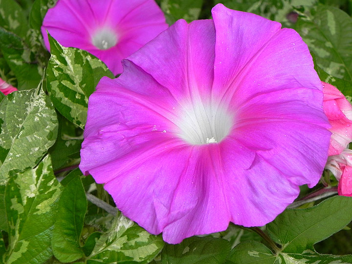 DSCN4895_01
