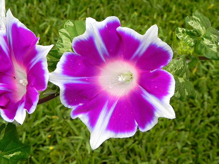 DSCN4900