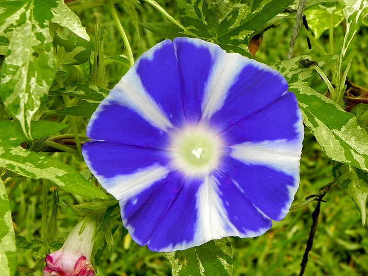 DSCN5019