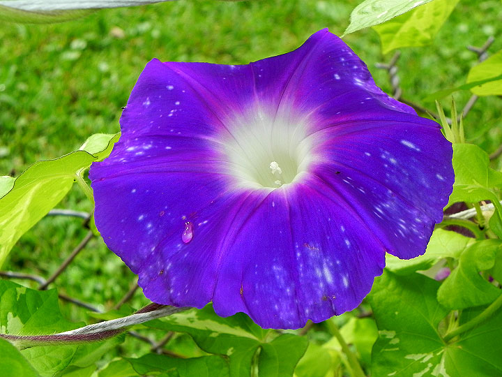 DSCN5140