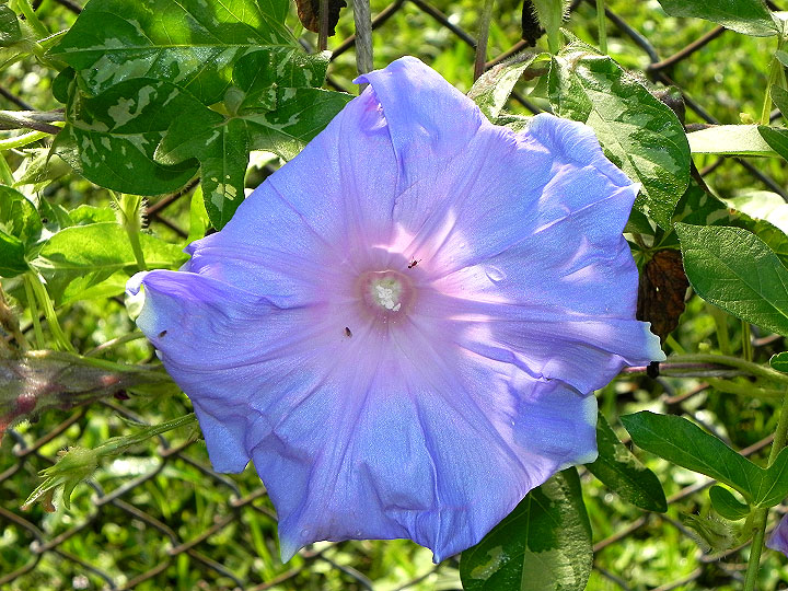 DSCN5348_01