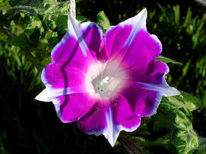 DSCN5405_01