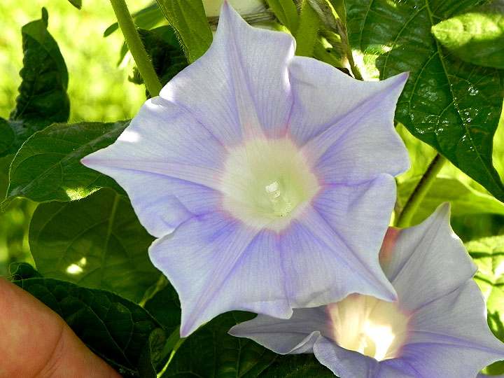 DSCN5421_01
