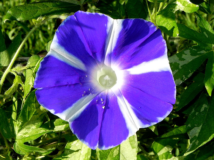 DSCN5438_02