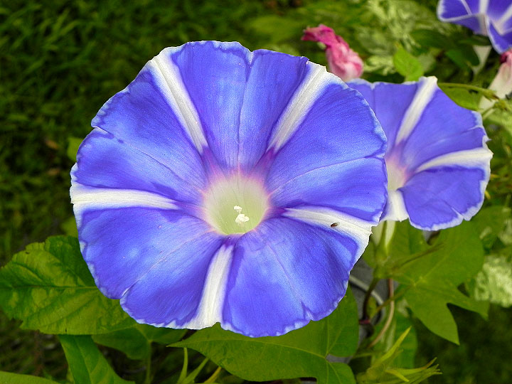 DSCN5542
