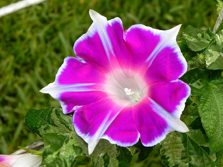 DSCN5560_01