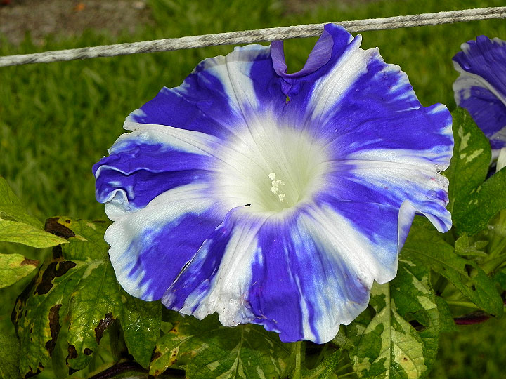 DSCN5583