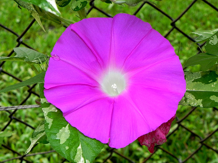 DSCN5664_01