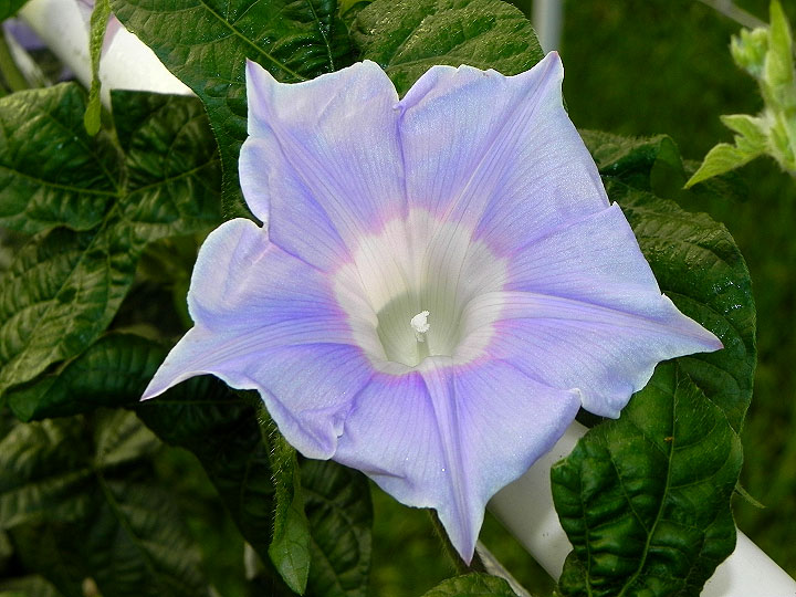 DSCN5707_01
