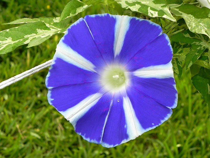 DSCN5753_01