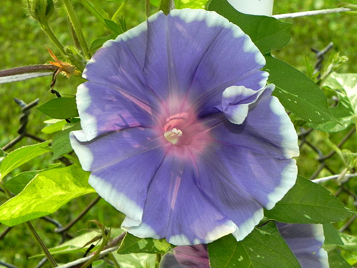 DSCN5832
