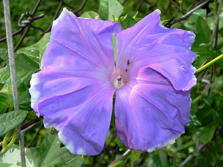 DSCN5834