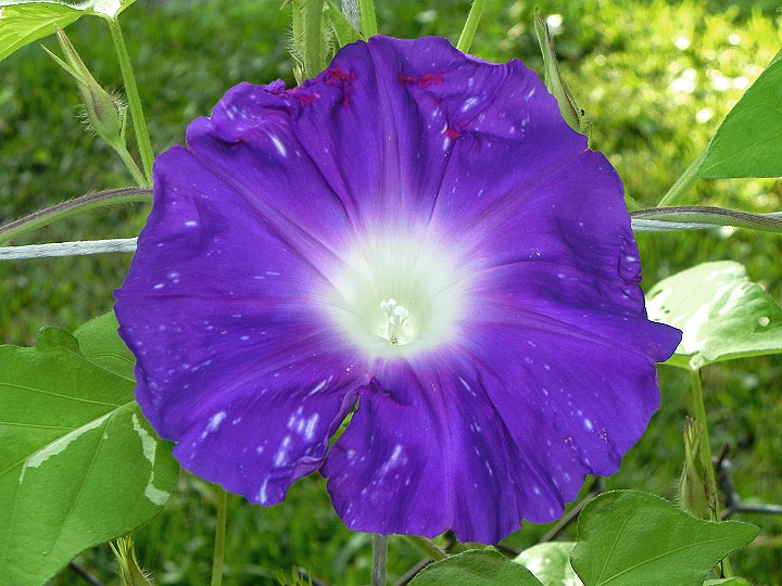 DSCN5835