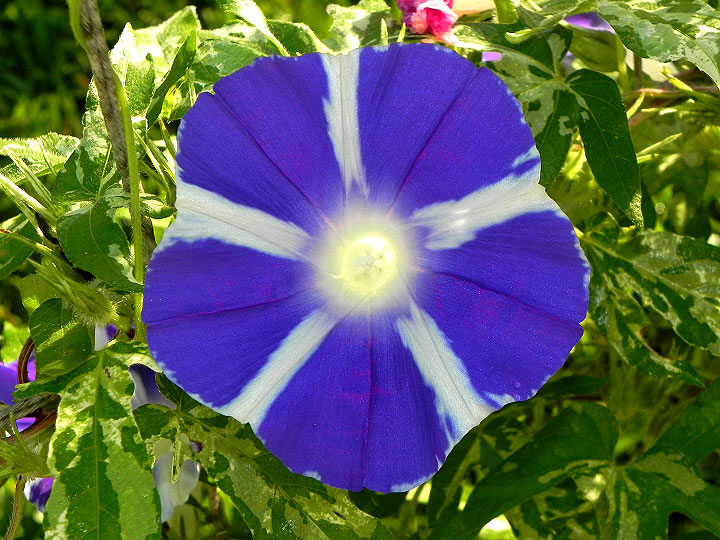DSCN5910
