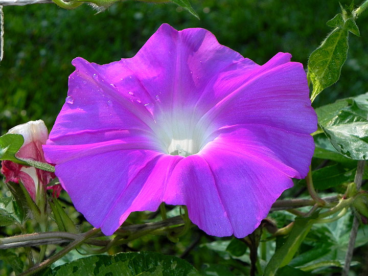 DSCN5977