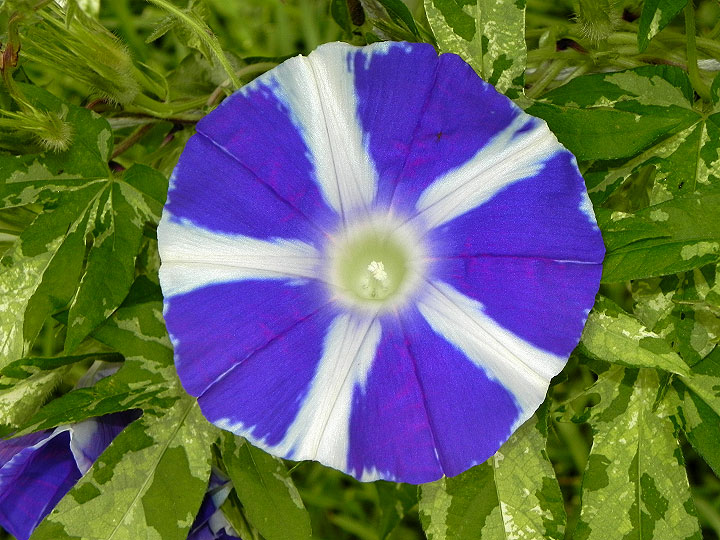 DSCN6069