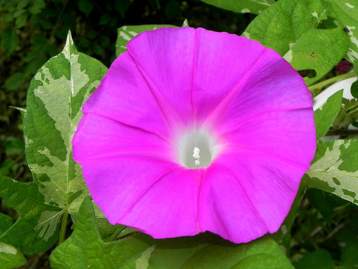 DSCN6136_01
