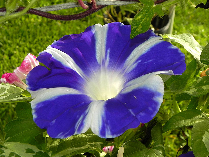 DSCN6305