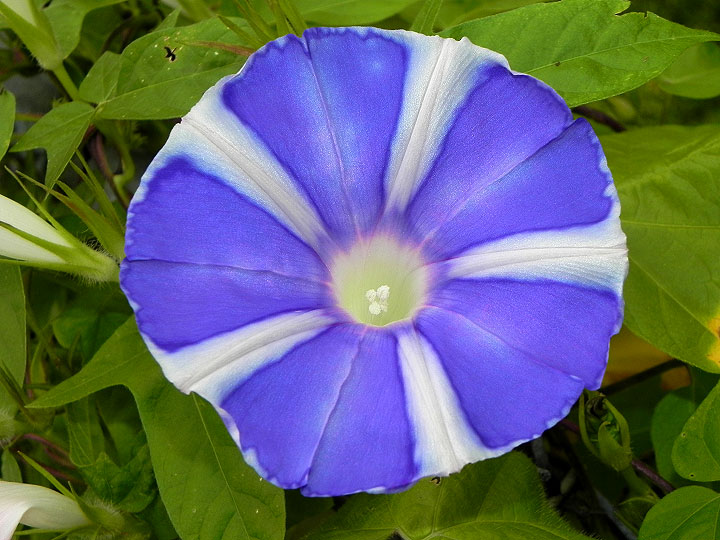 DSCN6490