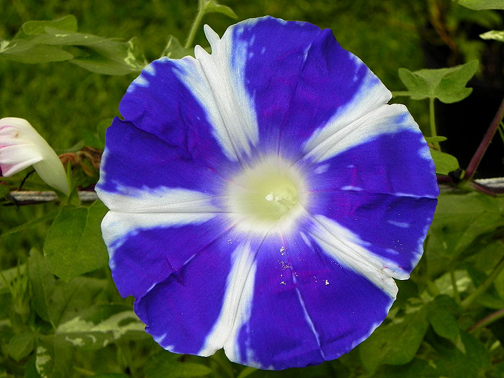DSCN6548