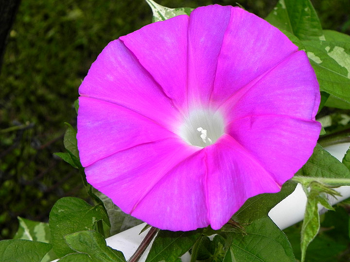 DSCN6673_01