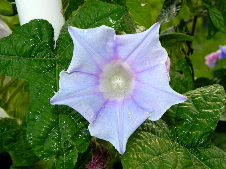 DSCN6729_01