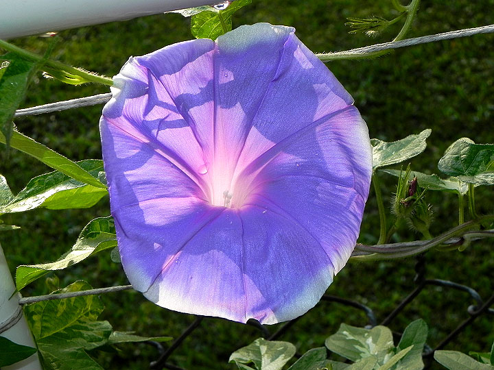 DSCN6889