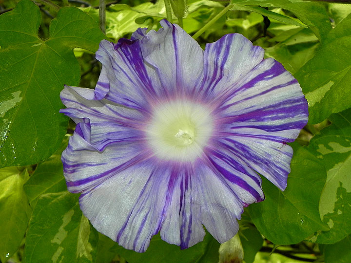DSCN6891