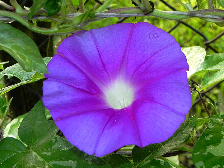 DSCN6893
