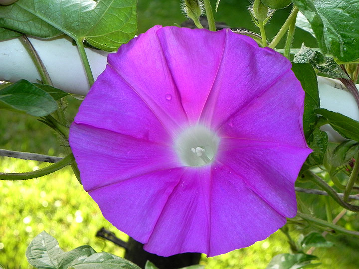 DSCN6894