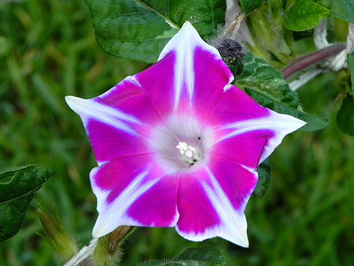 DSCN7222