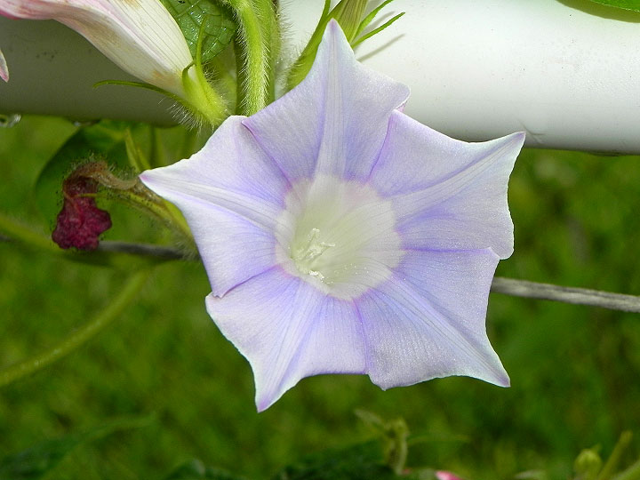 DSCN7436