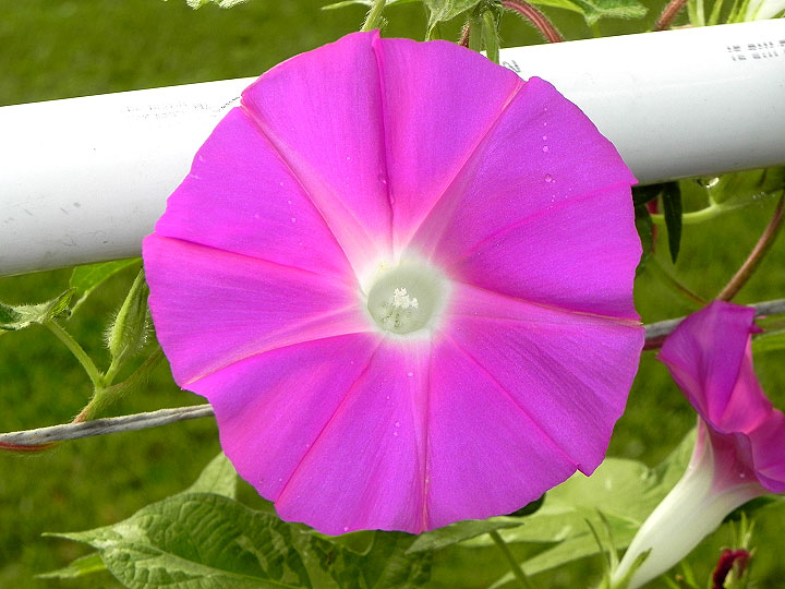 DSCN7762
