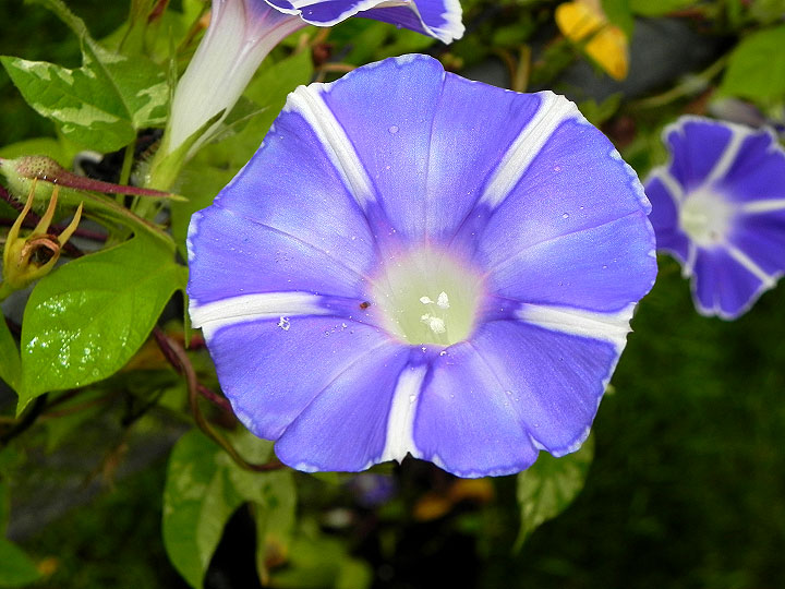 DSCN7803