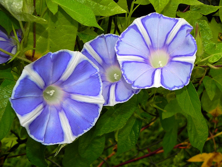 DSCN7804