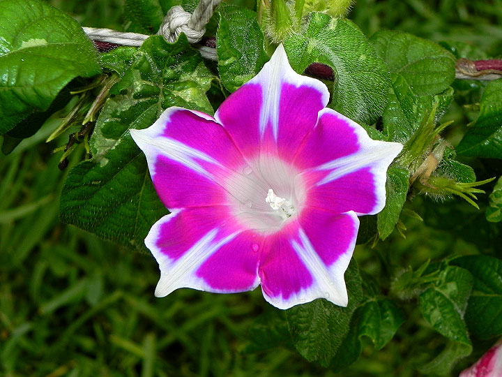 DSCN7819