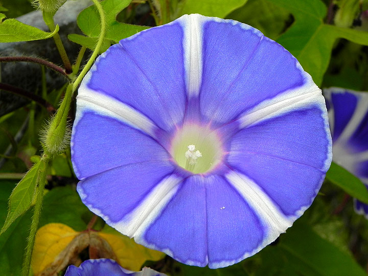 DSCN8032