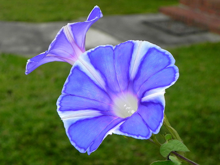 DSCN8034