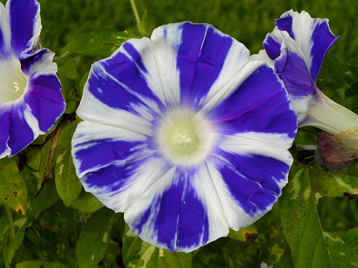 DSCN8095