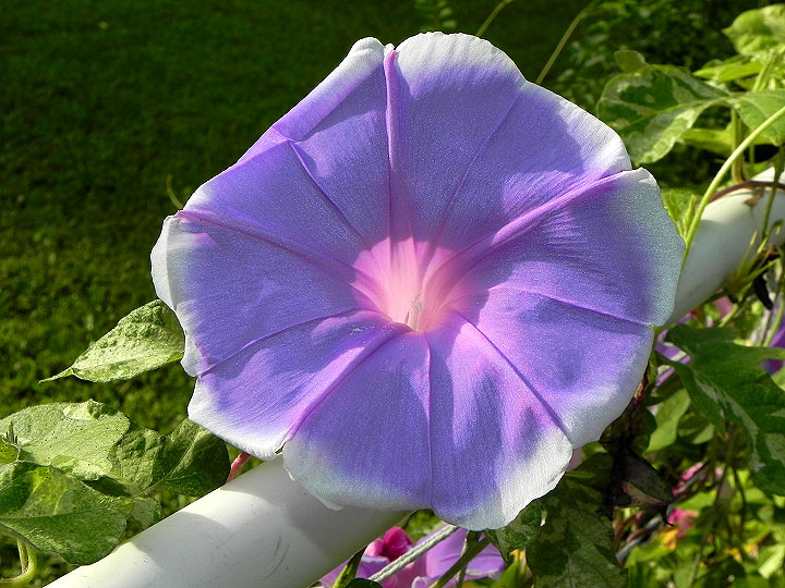 DSCN8195