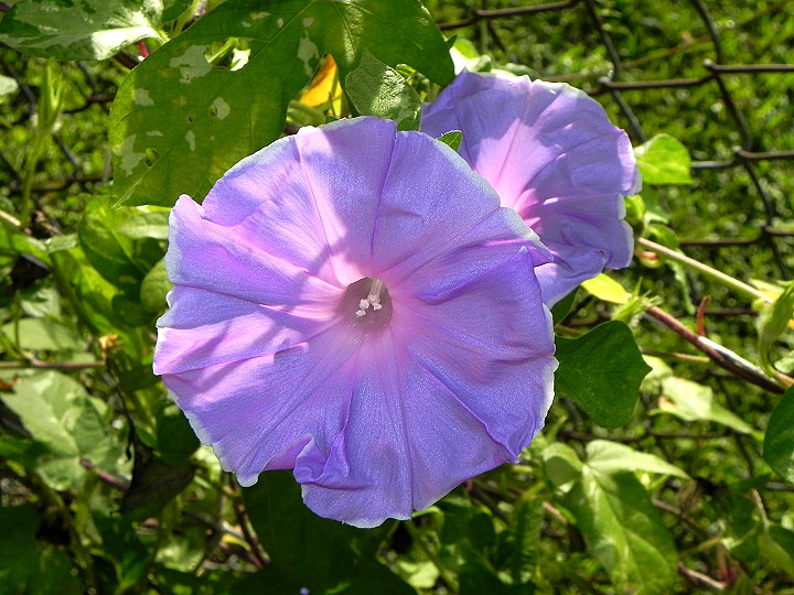 DSCN8197
