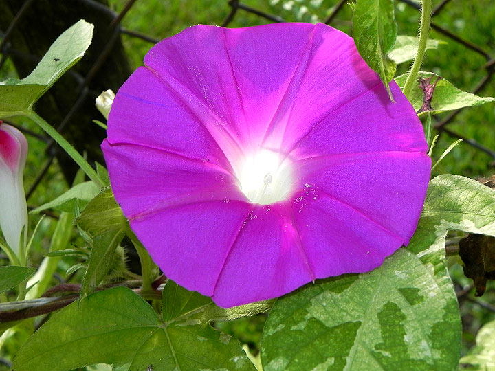 DSCN8202