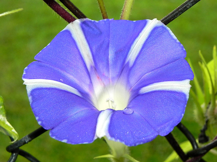 DSCN8341