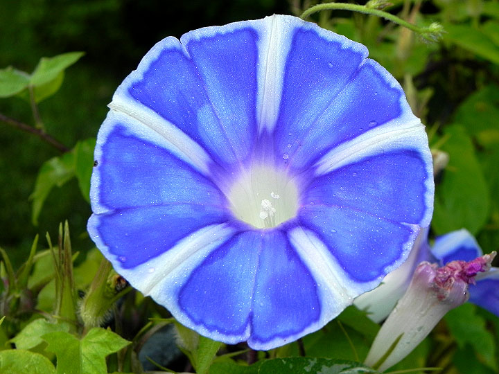 DSCN8342