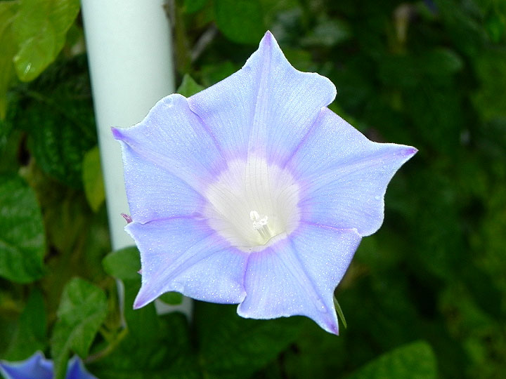 DSCN8346