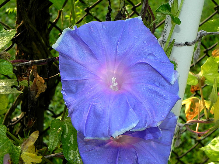 DSCN8499