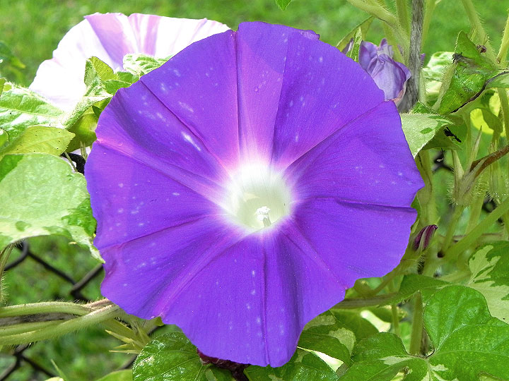 DSCN8500