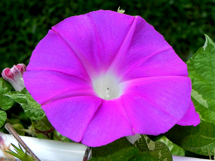 DSCN8503