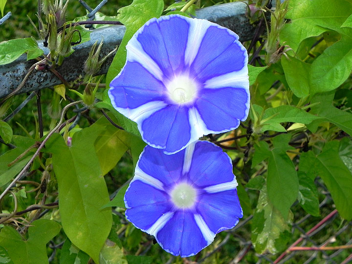 DSCN8573